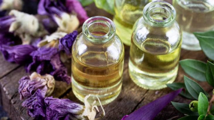 Eve sinen kedi kokusu 5 dakikada yok olacak Hiç rahatsız etmiyor, mis gibi doğal Eve sinen kedi kokusu 5 dakikada yok olacak Hiç rahatsız etmiyor, mis gibi doğal