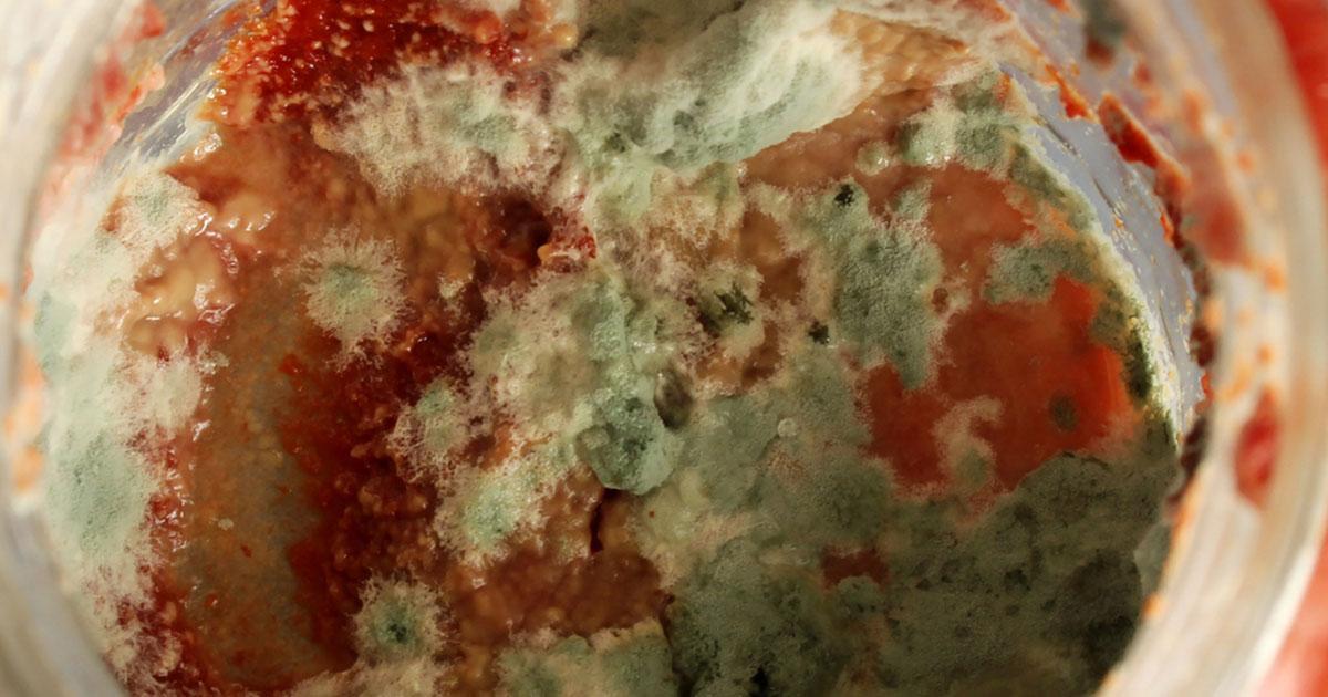 Salçadaki küfü durduran teknik Çanakkaleli köylüler sır gibi saklıyormuş