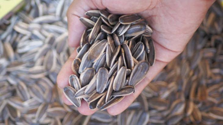 Dudağımız acıyana kadar çitliyoruz Kimse bilmiyor ama sivilce yapmayanı da var