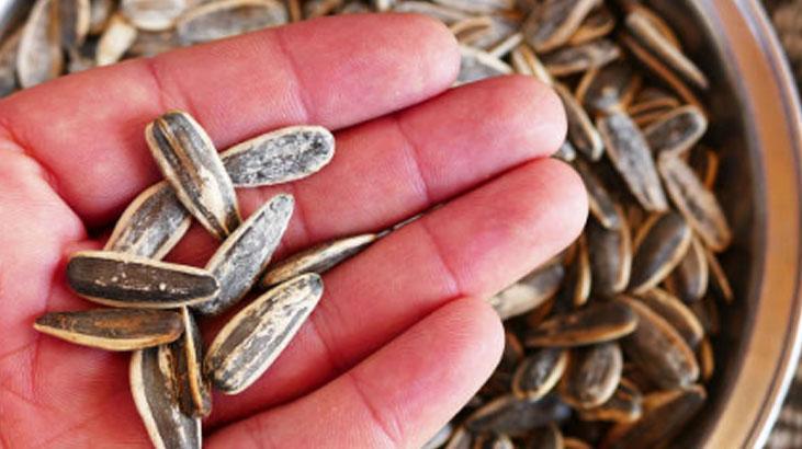 Dudağımız acıyana kadar çitliyoruz Kimse bilmiyor ama sivilce yapmayanı da var