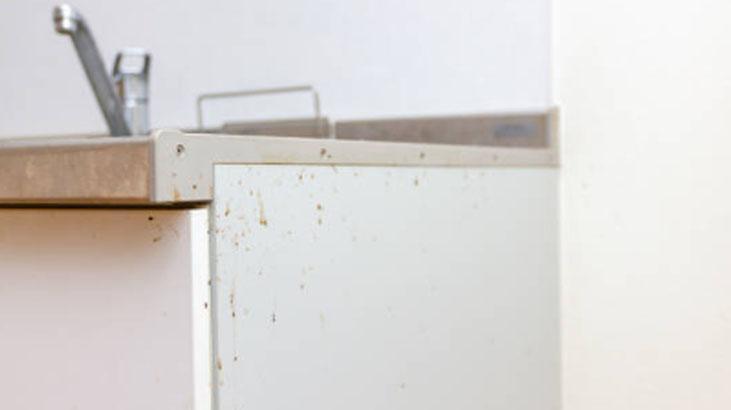 Cebe bayram ettiren deterjan formülü Altından kalkamadığı leke yok