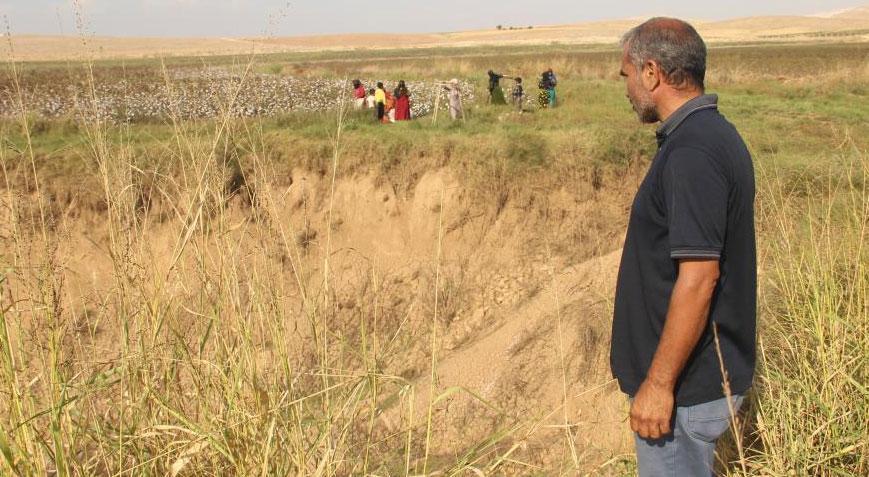 Çiftçiler tüyler ürperten manzara ile karşılaştı Yetkililer harekete geçti