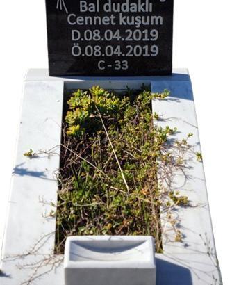 Kapatılan hastanenin yakınındaki bebek mezarlığından şok görüntü Kapatılan hastanenin yakınındaki bebek mezarlığından şok görüntü