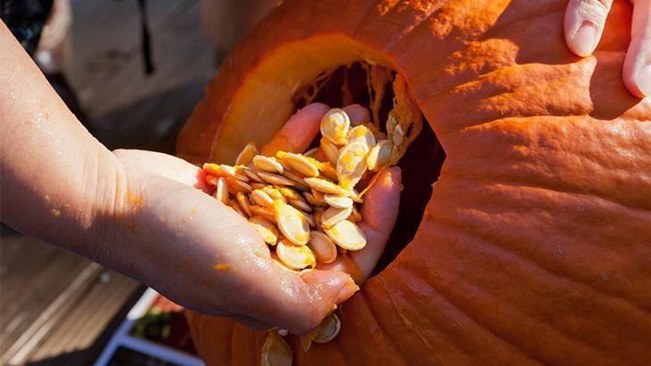 Ay çekirdeğine taş çıkartır, kabuğu da yeniyor Fırında kavurun, vitaminli atıştırmalık
