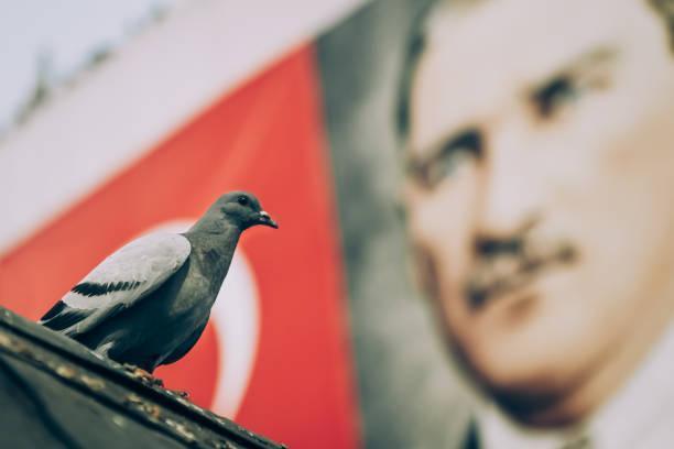 29 Ekim Cumhuriyet Bayramı coşkusu Kutlama mesajları, Atatürk sözleri...Okullarda yüz yüze, sosyal medyada 29 Ekim Cumhuriyet Bayramı tebrik, gurur paylaşımları, resimleri