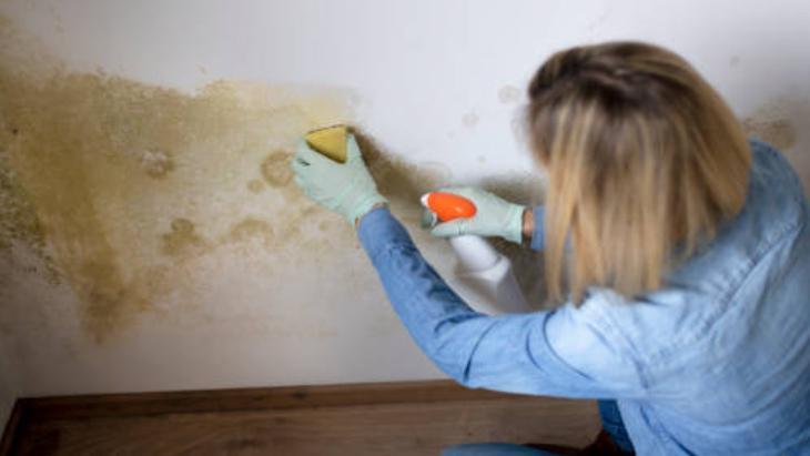 4 karışımla duvarda kusursuz temizlik Nişastayı da ekleyince hiçbir leke dayanmıyor 4 karışımla duvarda kusursuz temizlik Nişastayı da ekleyince hiçbir leke dayanmıyor