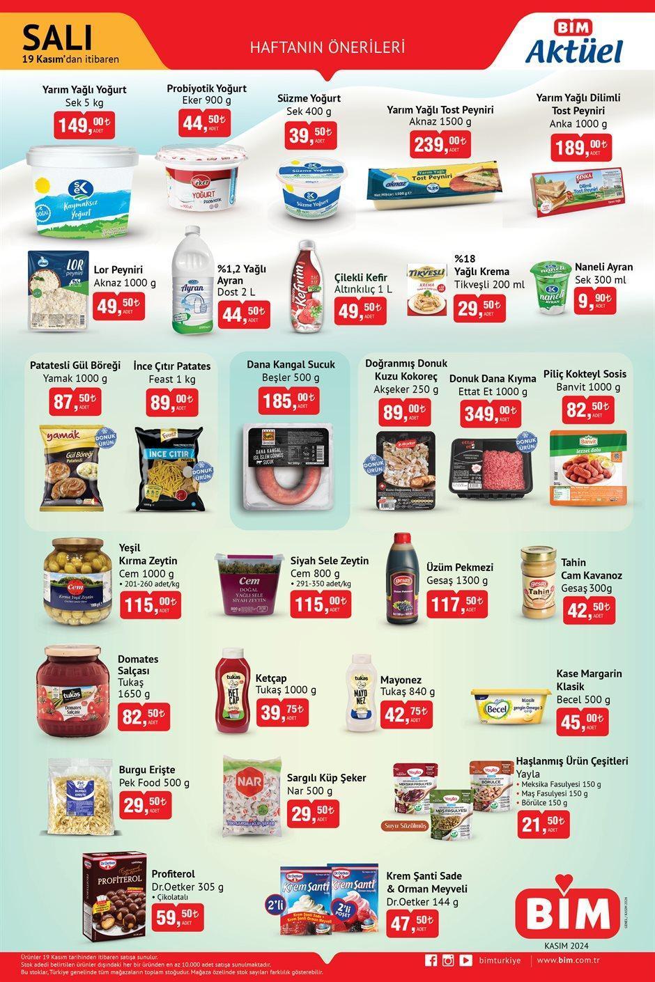 19 KASIM SALI BİM AKTÜEL KATALOĞU