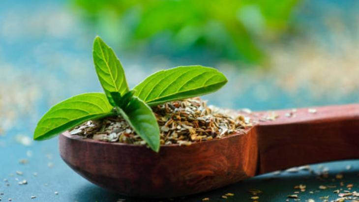 SON DOKUNUŞ: TAZE OTLAR