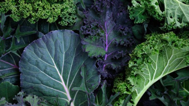 Aylarca ne lezzeti ne vitamini eksilecek Karadenizin baş tacı, vakumlayıp kaldırın