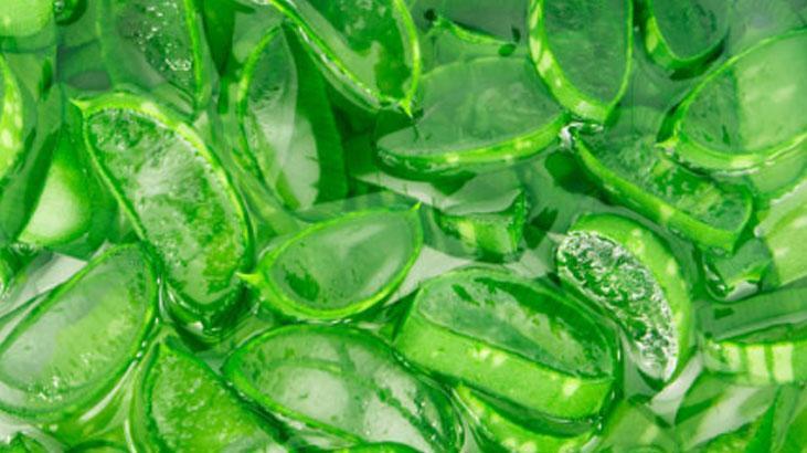 Saçı tiftik tiftik yapan kırıkları anında onarıyor Denemeyen bin pişman, nemlendirici bombası Saçı tiftik tiftik yapan kırıkları anında onarıyor Denemeyen bin pişman, nemlendirici bombası