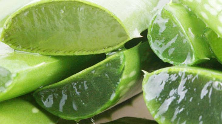 Saçı tiftik tiftik yapan kırıkları anında onarıyor Denemeyen bin pişman, nemlendirici bombası Saçı tiftik tiftik yapan kırıkları anında onarıyor Denemeyen bin pişman, nemlendirici bombası