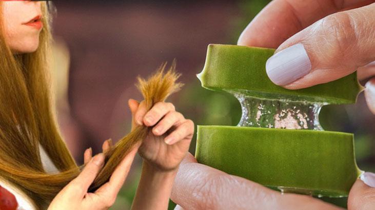 Saçı tiftik tiftik yapan kırıkları anında onarıyor Denemeyen bin pişman, nemlendirici bombası Saçı tiftik tiftik yapan kırıkları anında onarıyor Denemeyen bin pişman, nemlendirici bombası