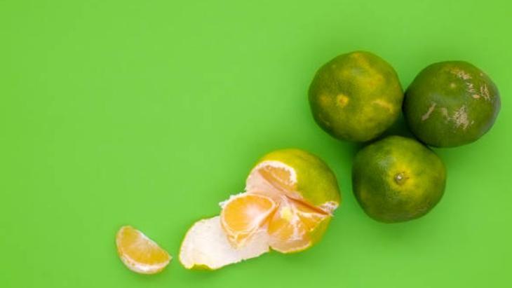 DAHA PARLAK VE GENÇ BİR CİLT DAHA PARLAK VE GENÇ BİR CİLT