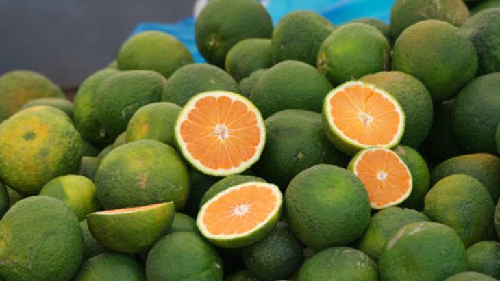 BOĞAZ AĞRISINA SON BOĞAZ AĞRISINA SON