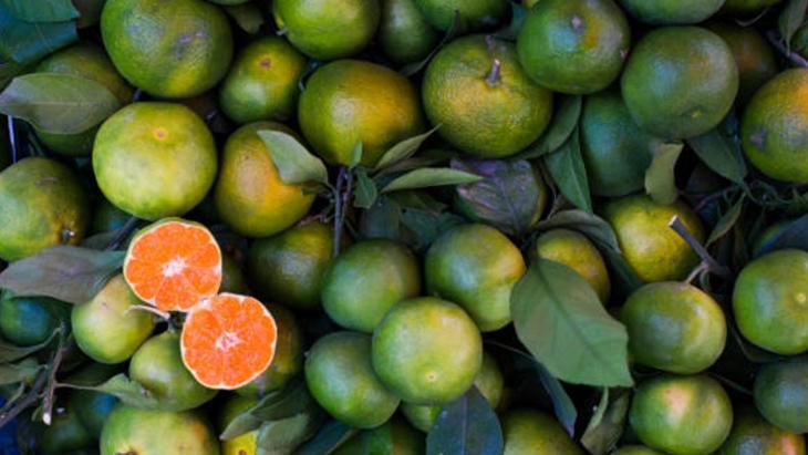 DAHA FAZLA C VİTAMİNİ DAHA FAZLA C VİTAMİNİ