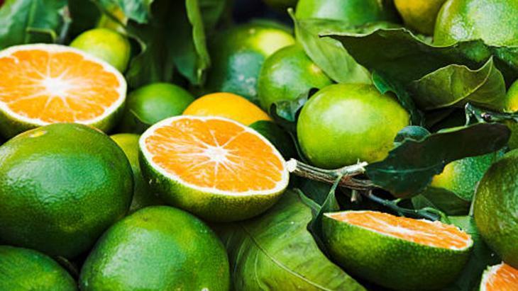 Virüse geçit vermeyen yeşil mandalina Ekşisine aldanmayın, boğazdaki yangını söndürüyor Virüse geçit vermeyen yeşil mandalina Ekşisine aldanmayın, boğazdaki yangını söndürüyor