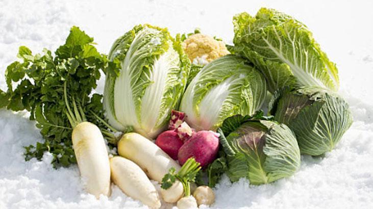 Canan Karatay kurtaran reçeteyi verdi Kışın canınız turşu çekiyorsa sebebi budur