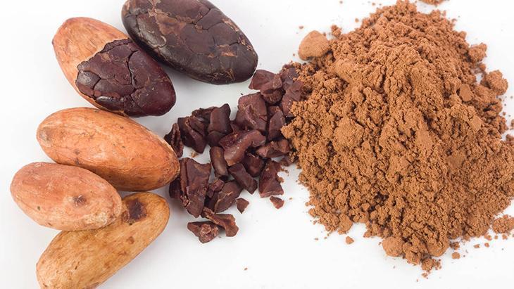 İŞLENMEMİŞ KAKAO TOZU ALIN
