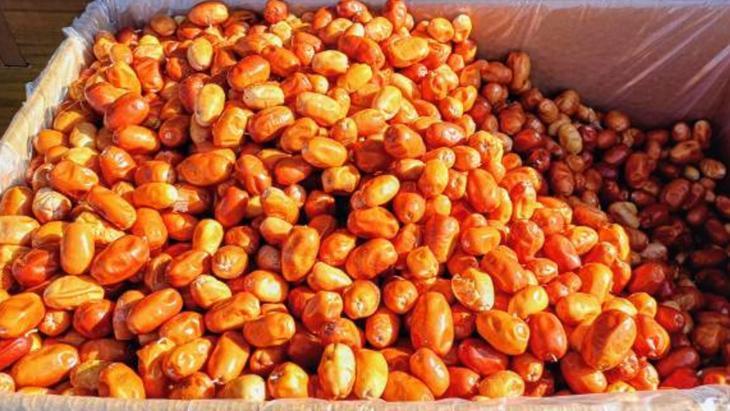 ELEKTRİKLİ KURUTUCULAR KULLANMAK