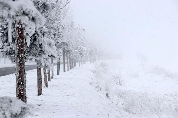 ERZURUM