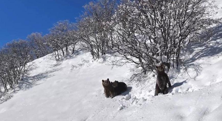 Drone çekiminde fark edildiler Ormana girerek gözden kayboldular