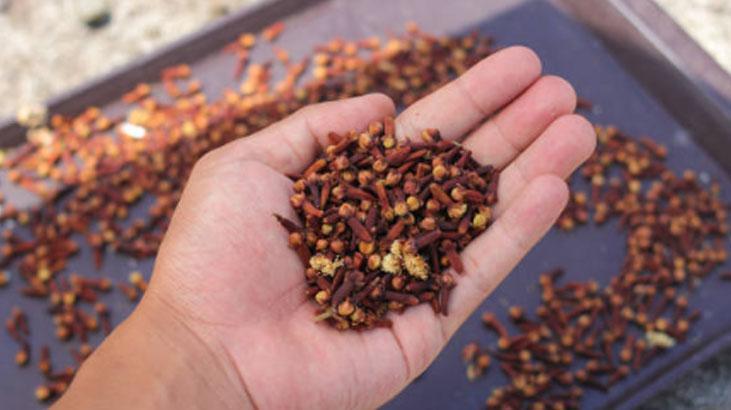 Portakal kabuğuyla kaynatın Babaanne tarifi, eviniz cennet bahçesi gibi kokacak