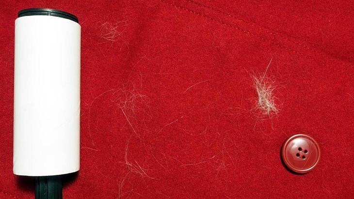 1- Halılar ve zemin