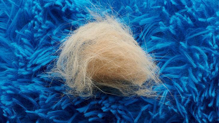 Koltuğa, halıya, kıyafete yapışıyor Kedi-köpek tüyüne veda ettiren muhteşem taktik