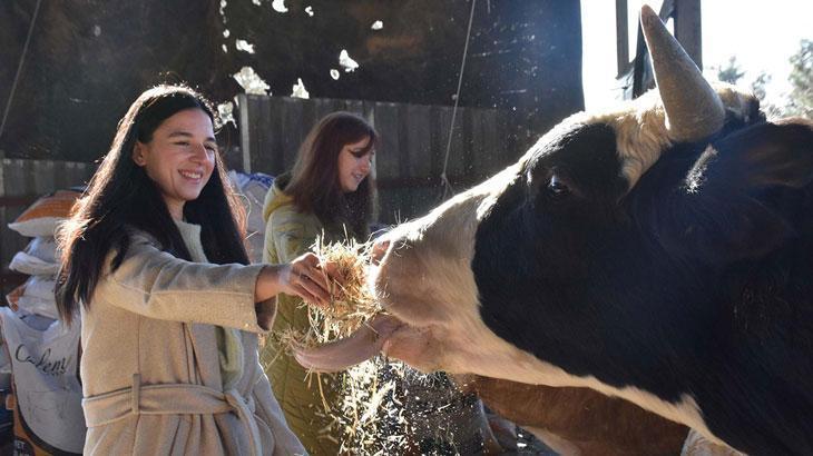 Üniversiteli kız kardeşler, devlet desteğiyle hayvancılık yapıyor