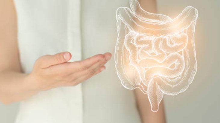 2 kaşık ekleyince müshile dönüşüyor Bağırsaklara iç-dış temizlik yapan karışım 2 kaşık ekleyince müshile dönüşüyor Bağırsaklara iç-dış temizlik yapan karışım