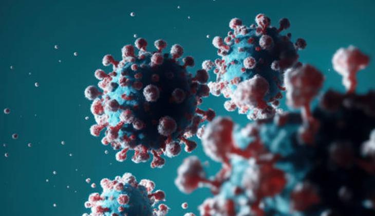 KUŞ GRİBİ TEDAVİSİ VAR MI, NEDİR KUŞ GRİBİ TEDAVİSİ VAR MI, NEDİR