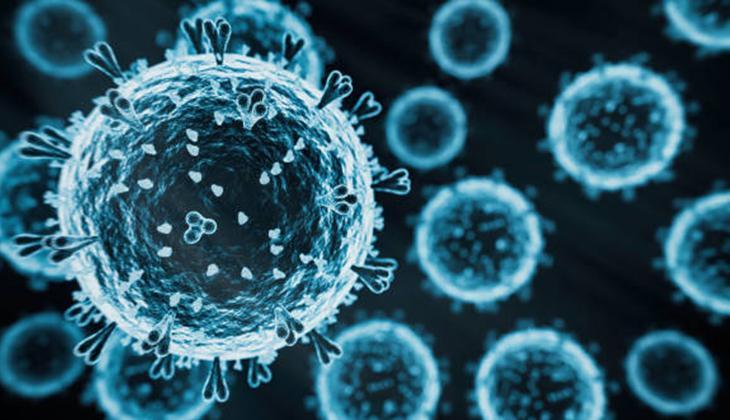 KUŞ GRİBİ BELİRTİLERİ NELERDİR KUŞ GRİBİ BELİRTİLERİ NELERDİR