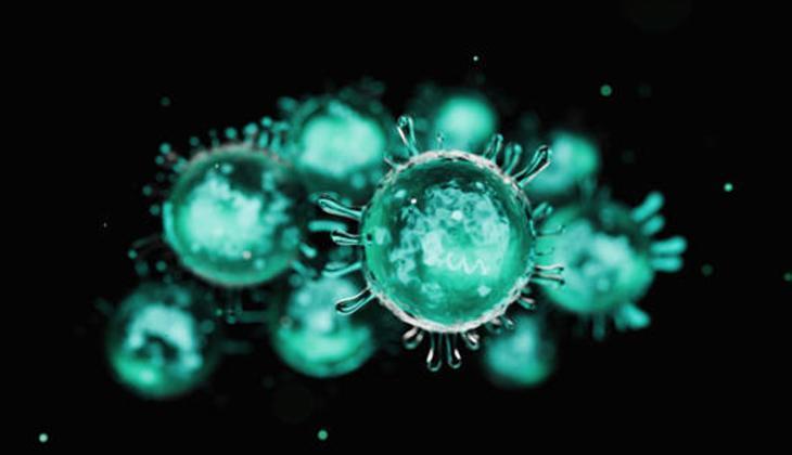 KUŞ GRİBİ BULAŞIR MI, NASIL KUŞ GRİBİ BULAŞIR MI, NASIL