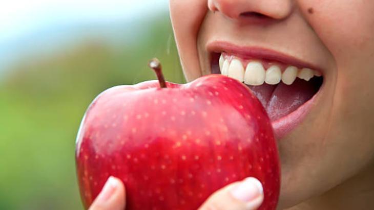 ELMA VE ZERDEÇAL KÜRÜ