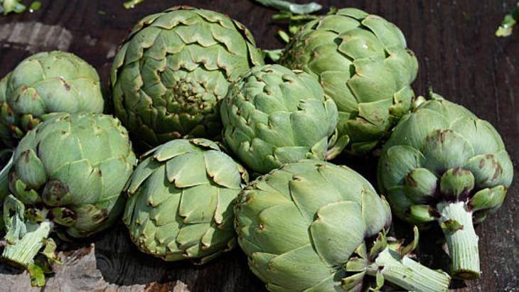 ENGİNAR ÇAYI KÜRÜ