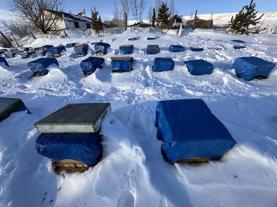 Türkiyede tek: Tamamen kar altında, izole edilmiş şekilde