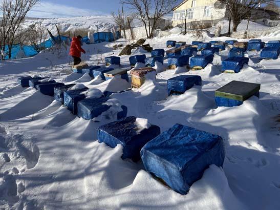 Türkiyede tek: Tamamen kar altında, izole edilmiş şekilde