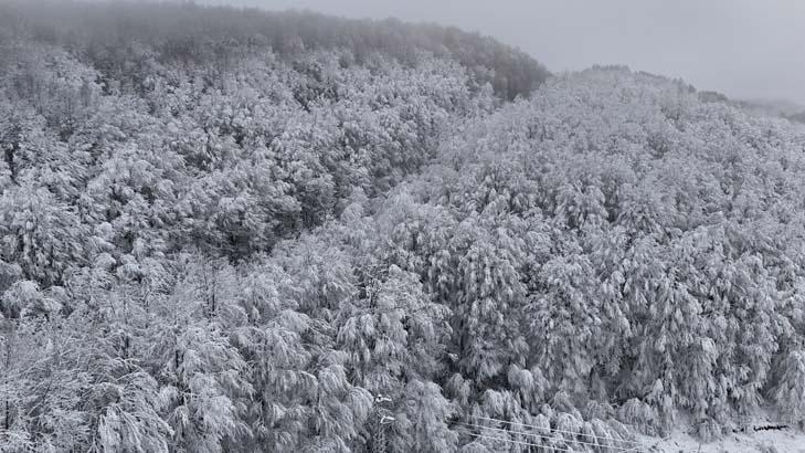 Trakyanın Uludağı Kar yağışı ile birlikte akın ettiler