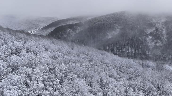 Trakyanın Uludağı Kar yağışı ile birlikte akın ettiler