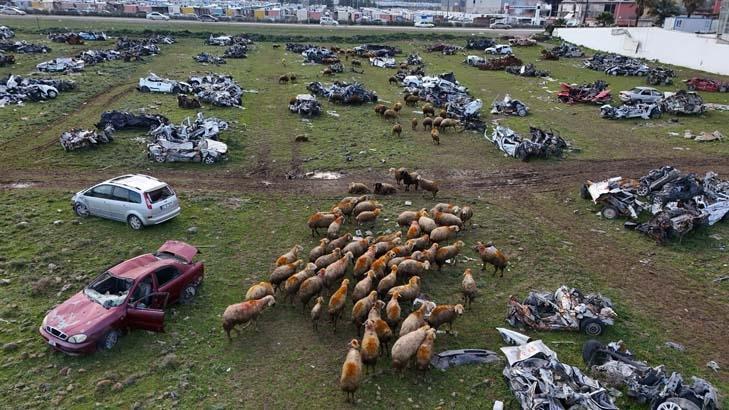 İşte Türkiye ve dünyada 2024e damga vuran o fotoğraflar...