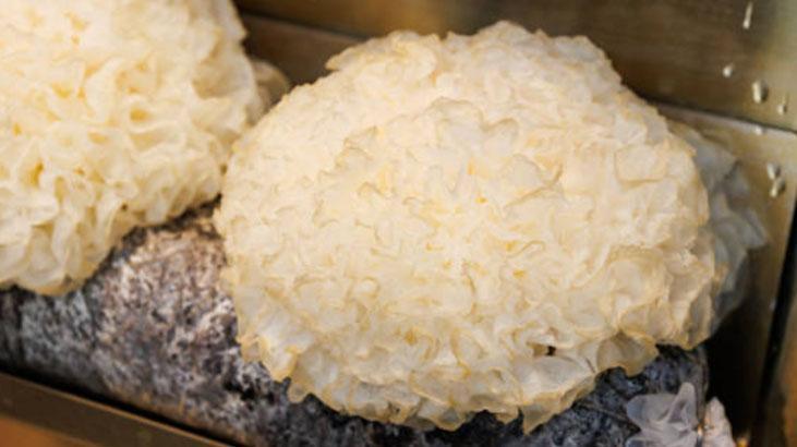 Güzellik hilesi sayesinde geriye doğru yaşlanıyor Nemlendirici yiyorum, mucize gibi