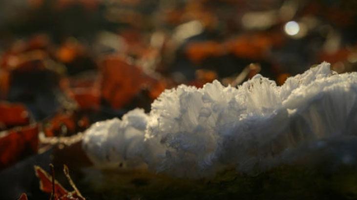 Güzellik hilesi sayesinde geriye doğru yaşlanıyor Nemlendirici yiyorum, mucize gibi