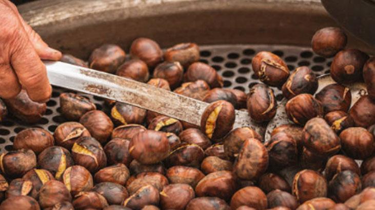 Filizlenmiş kestanenin tadı değişiyor, önce kontrol şart 15 dakika haşlamak yetiyor Filizlenmiş kestanenin tadı değişiyor, önce kontrol şart 15 dakika haşlamak yetiyor