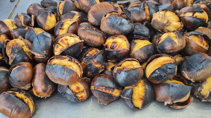 Filizlenmiş kestanenin tadı değişiyor, önce kontrol şart 15 dakika haşlamak yetiyor Filizlenmiş kestanenin tadı değişiyor, önce kontrol şart 15 dakika haşlamak yetiyor