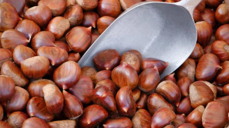 Filizlenmiş kestanenin tadı değişiyor, önce kontrol şart 15 dakika haşlamak yetiyor Filizlenmiş kestanenin tadı değişiyor, önce kontrol şart 15 dakika haşlamak yetiyor