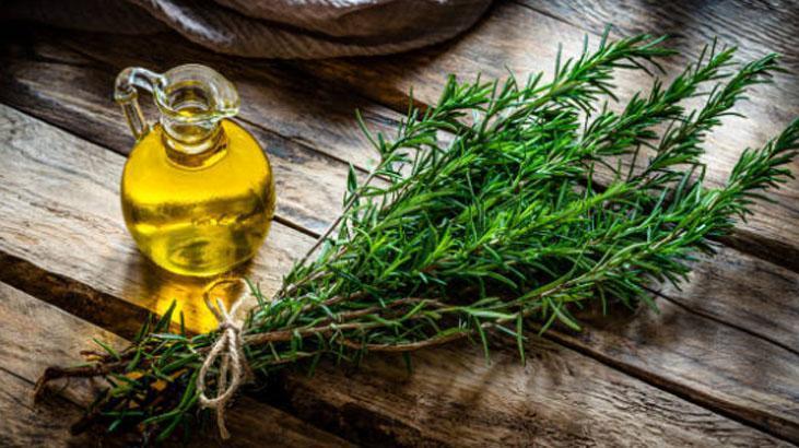 Afra Saraçoğlunun hiç vazgeçemediği saç rutini Hem yağı hem suyu gürleştiriyormuş