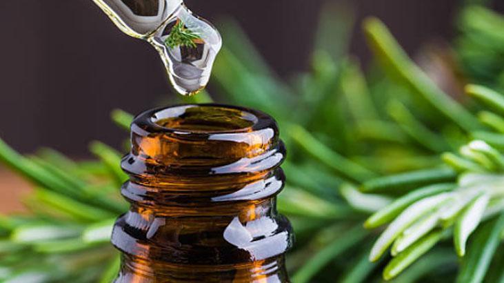 Afra Saraçoğlunun hiç vazgeçemediği saç rutini Hem yağı hem suyu gürleştiriyormuş