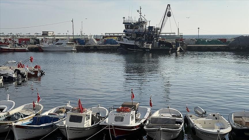 Tekirdağlı balıkçılar yeni yılda hamsiden umutlu