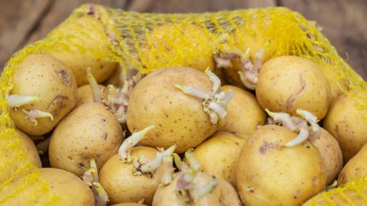 KAĞIT TORBA KULLANARAK DOĞRU SAKLAMA