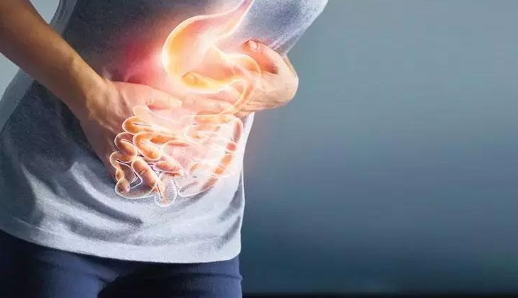 MİDE GRİBİ NEDİR BELİRTİLERİ NELERDİR MİDE GRİBİ NEDİR BELİRTİLERİ NELERDİR